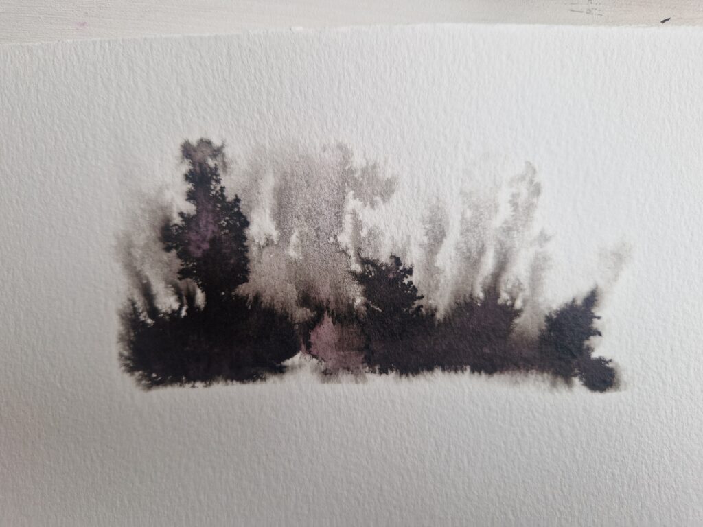 20240926 133140 1024x768