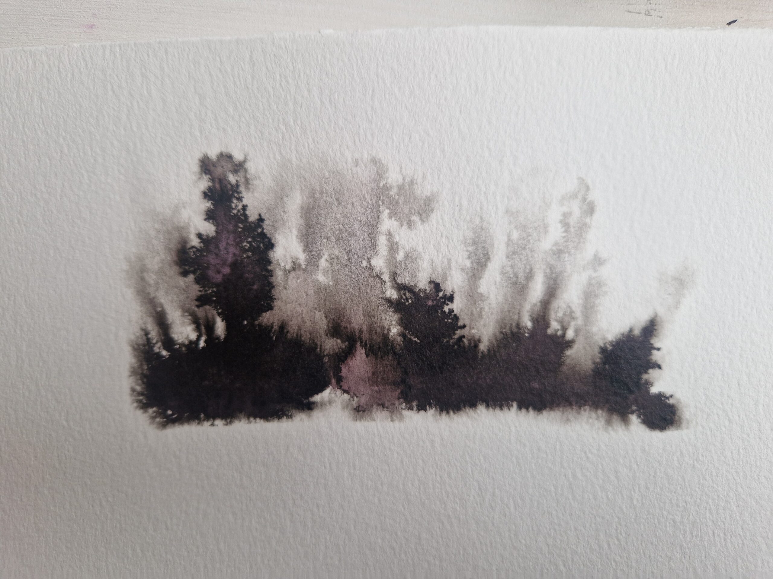 20240926 133140 Scaled