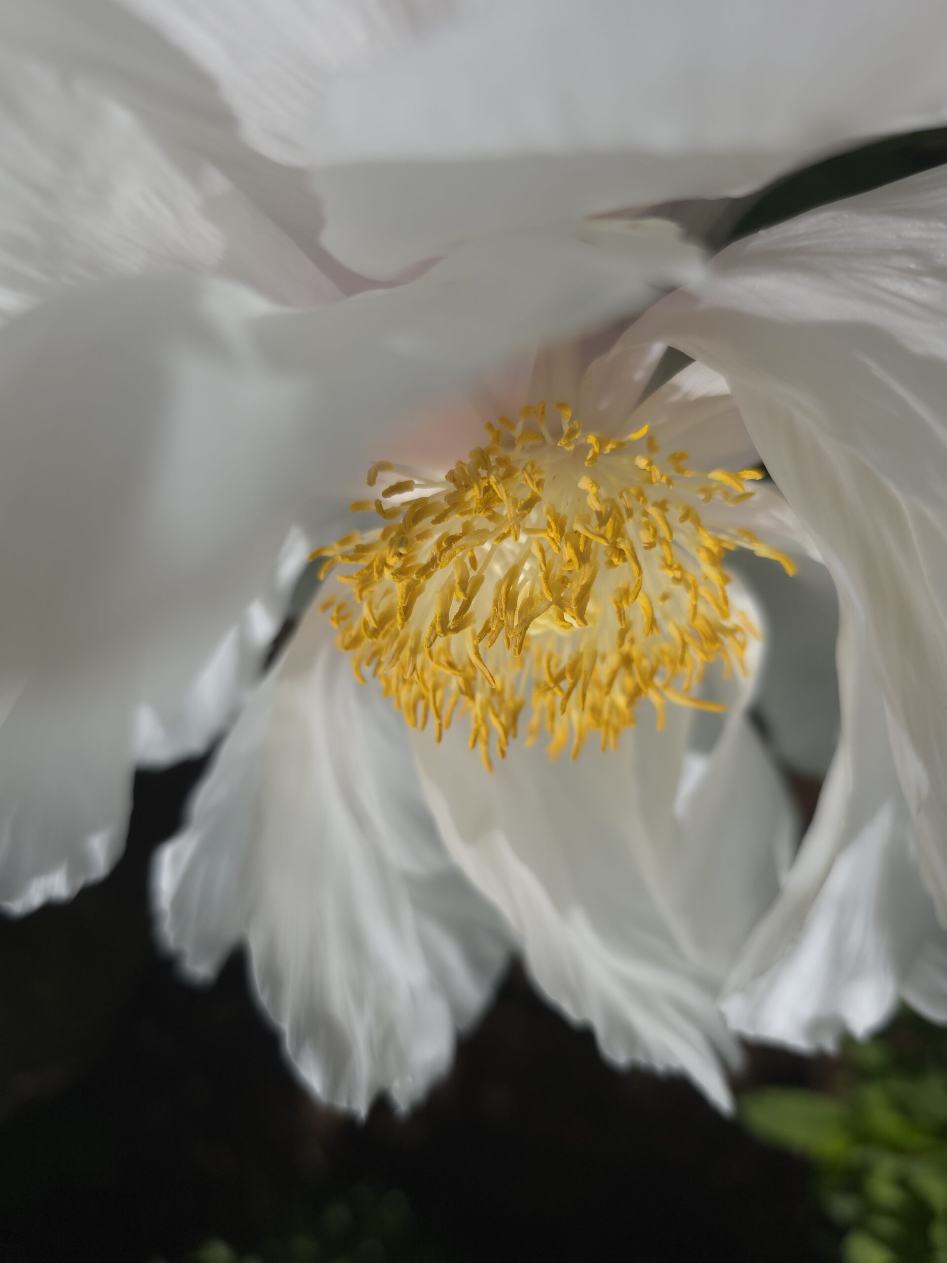 20250601 125244 Scaled